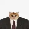 foto-user