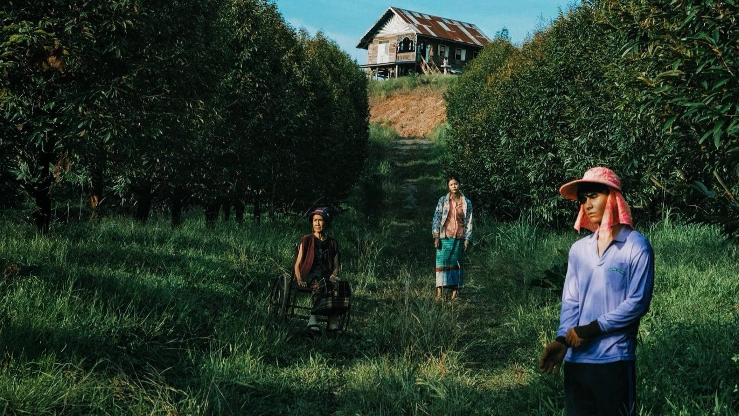 Рай з шипів