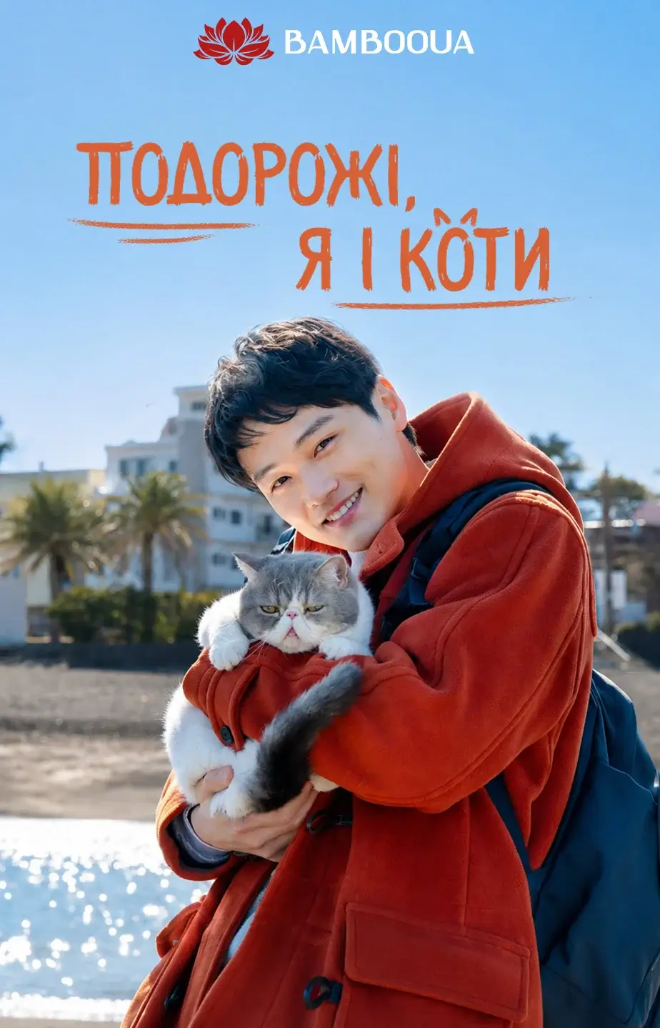Подорожі, я і коти